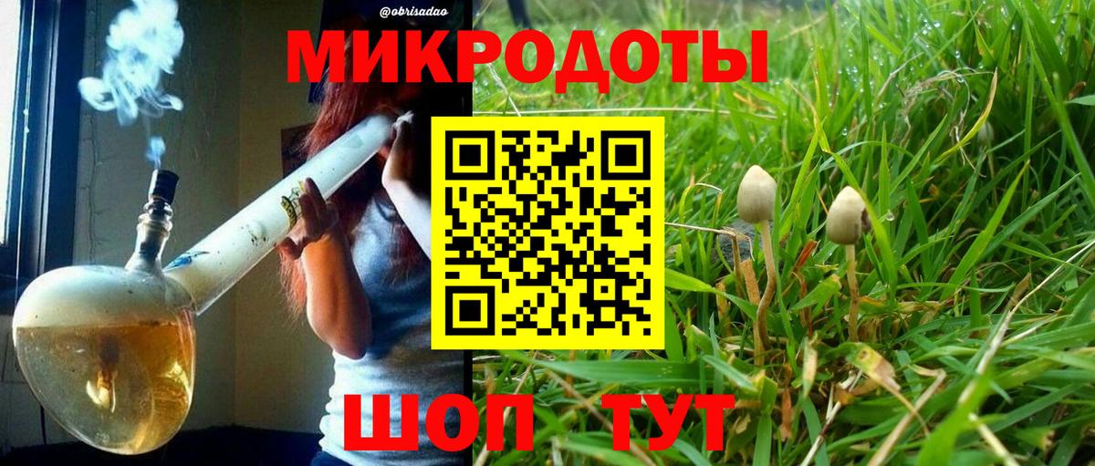 Псилоцибиновые грибы Cubensis  Вход с VPN  Асино 